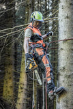 DeWALT 54V XR FLEXVOLT® Top-Handled Chainsaw 9Ah Kit