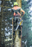 DeWALT 54V XR FLEXVOLT® Top-Handled Chainsaw 9Ah Kit