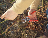 Felco 11 Professional Right Hand Secateur