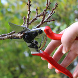 Felco 6 Medium Right Hand Light Secateur