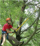 Jameson Options Side Cut / Centre Cut Single Fixed Pulley Big Mouth Double Hook CompositLock Pruner Kits COMBINATIONS