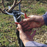 Felco 13 - Extended Handle - One / Two Handed Secateurs