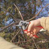Felco 31 & 32 | One-hand pruning shears / secateurs