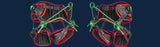 Teufelberger treeMOTION Pro X and treeMOTION Pro and Essential - Climbing Harness