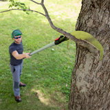 Silky Zubat 300mm Large Tooth Fixed Pruning Saw & Rep Blade