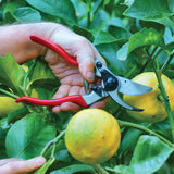 Felco 9 Ergonomic Secateur - Large Left Hand